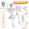Halloween Life Size Skeleton Posable Skeleton Full Body Plastic Human with Adjustable Joints for Outdoor Indoor Halloween Decoration